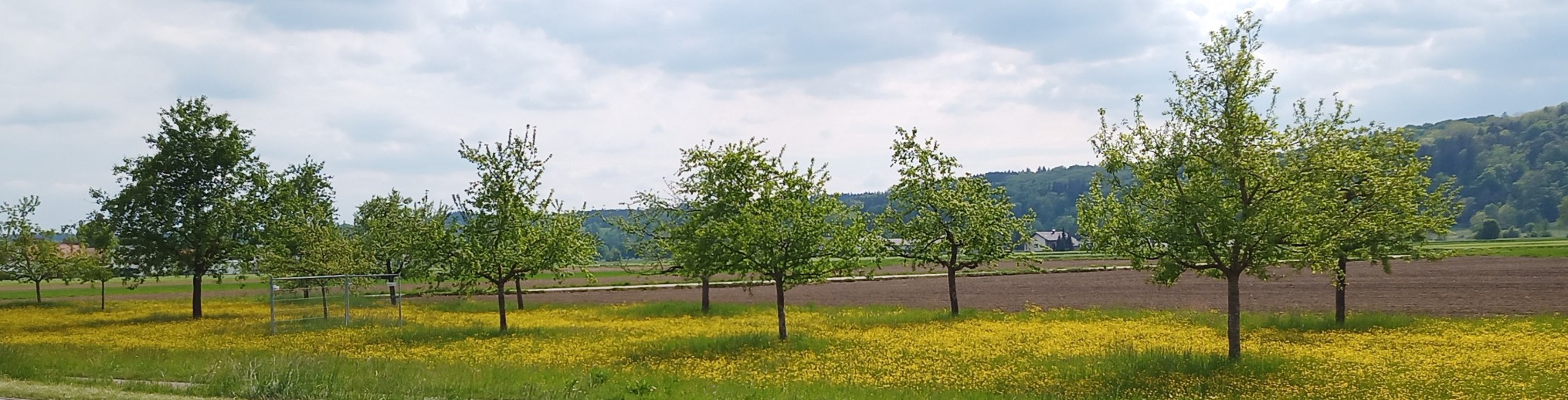 Schwäbischer Albverein | Donau-Blau Gau